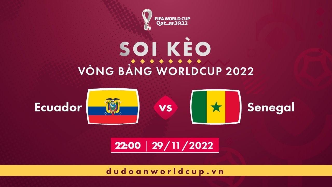 Soi kèo Ecuador vs Senegal, 22h ngày 29/11/2022 - dự đoán WC