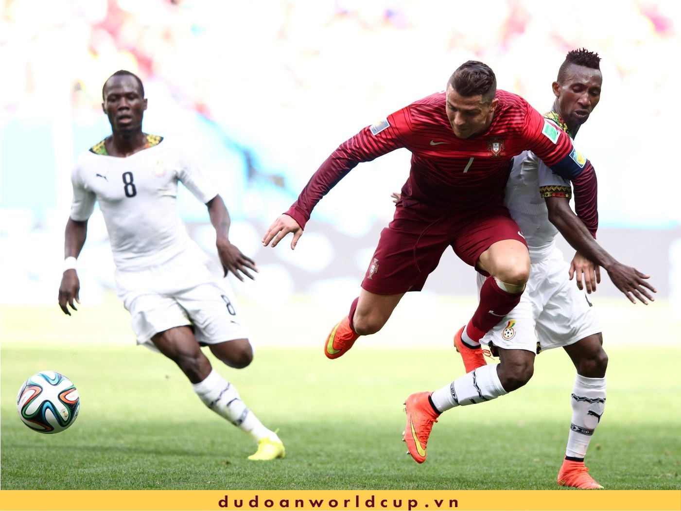 Trực Tiếp Bồ Đào Nha vs Ghana, 23h ngày 24/11/2022