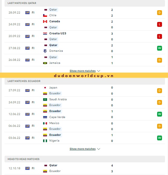 Nhận định, soi kèo Qatar vs Ecuador, 23h ngày 20/11/2022
