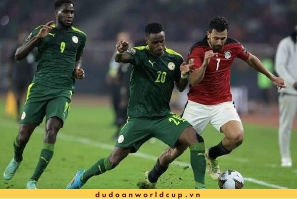 Nhận định, soi kèo Qatar vs Senegal, 20h ngày 25/11/2022