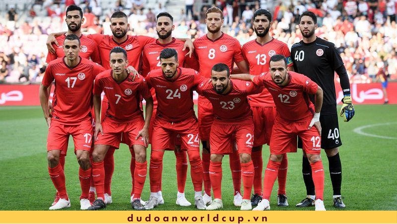 Nhận định, soi kèo Đan Mạch vs Tunisia, 20h ngày 22/11/2022