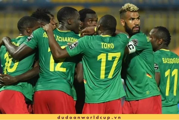 Nhận định, soi kèo Cameroon vs Serbia, 17h ngày 28/11/2022