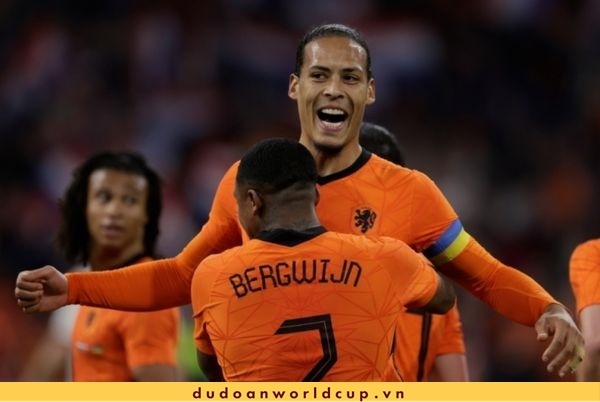 Nhận định, soi kèo Hà Lan vs Ecuador, 23h ngày 25/11/2022
