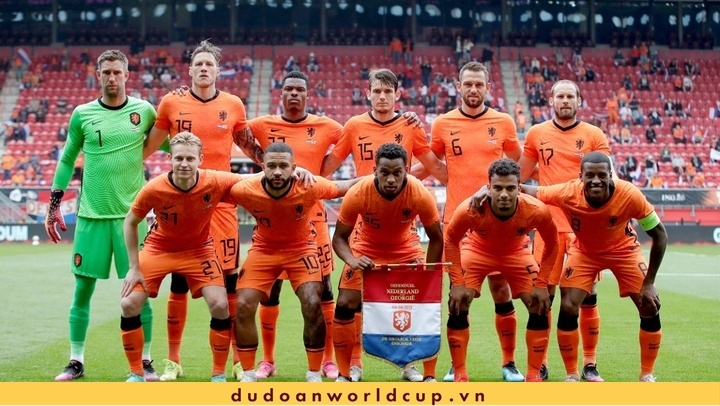 Đội hình World Cup Hà Lan 2022 - Thông tin tuyển Hà Lan