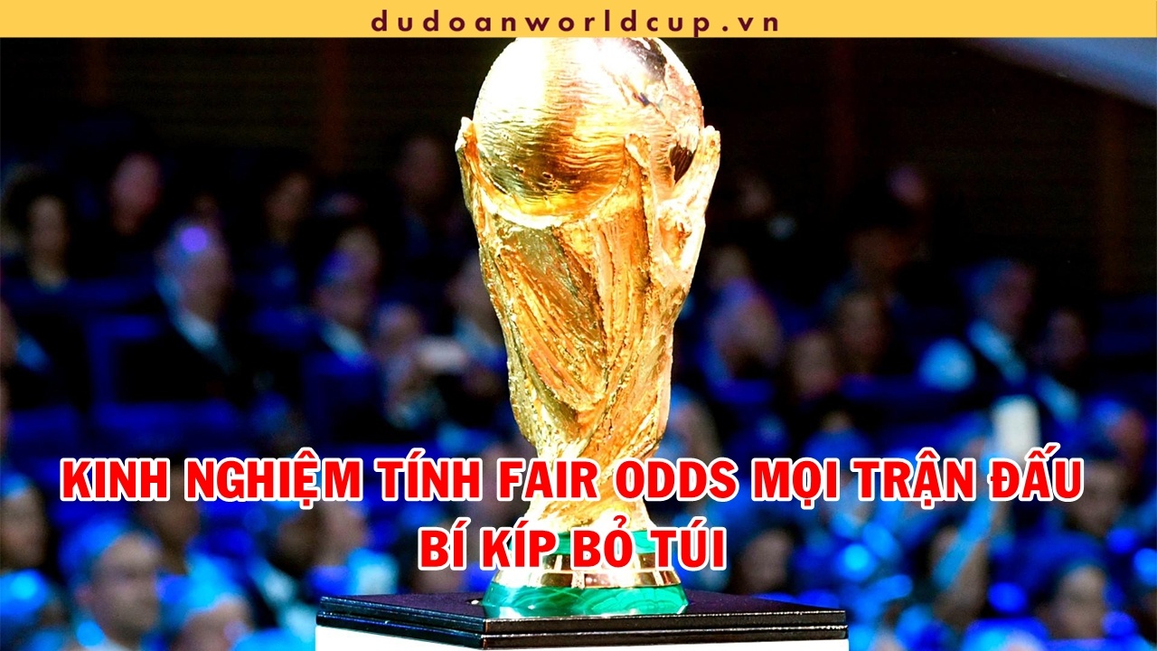 Cách tính Fair Odds ở World Cup 2022