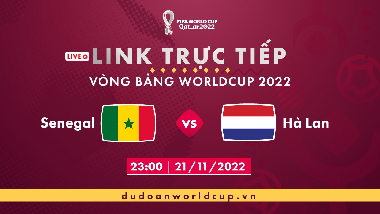 Link trực tiếp Senegal vs Hà Lan 17h ngày 21/11/2022